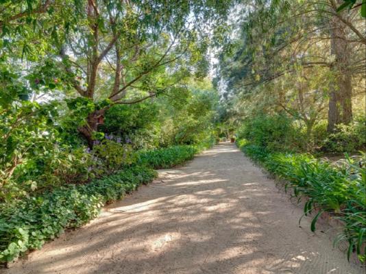 Blue Gum Country Estate - 199141