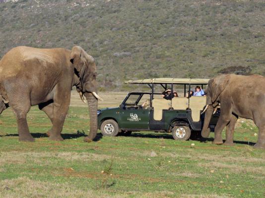 Garden Route Game Lodge - 199717