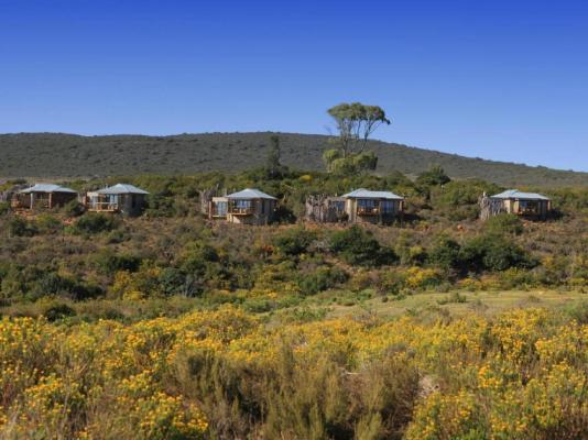 Garden Route Game Lodge - 199722