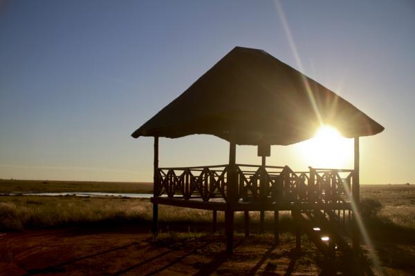 Mokala National Park - 199767