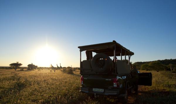 Mokala National Park - 199768