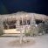 Daureb Isib Campsite and B&B - 199906 Daureb Isib Campsite and B&B - 199906