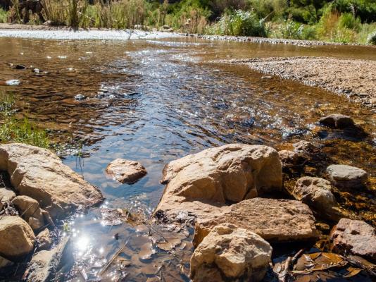 Bushman Valley - 200135