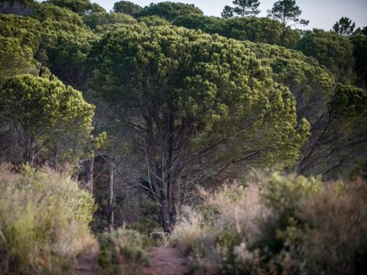 Hiking trail inside Boskloof Eco Estate