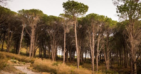 Hiking trail within Boskloof Eco Estate