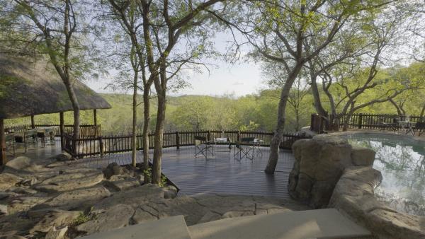 Rooted Bush Safaris - 201171