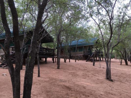 Rooted Bush Safaris - 201181