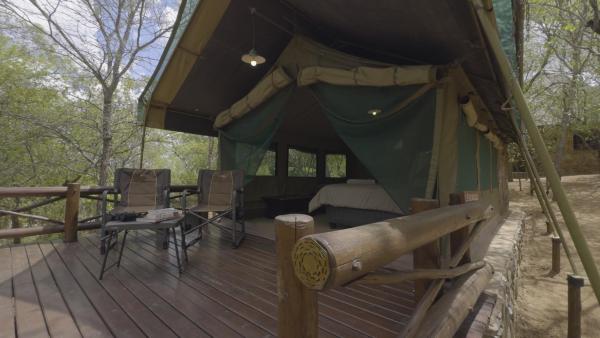 Rooted Bush Safaris - 201188