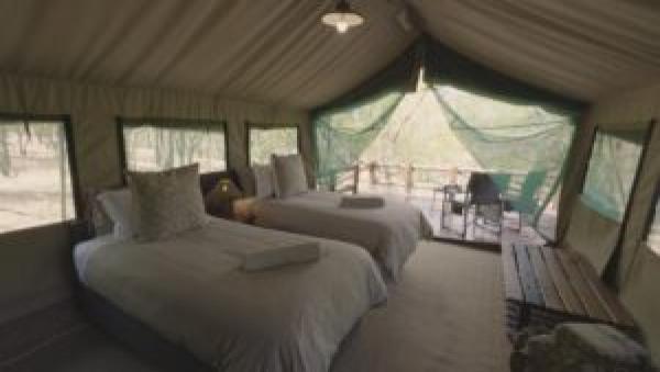 Rooted Bush Safaris - 201193