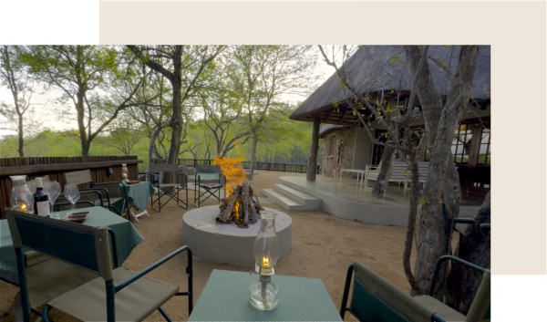 Rooted Bush Safaris - 201208