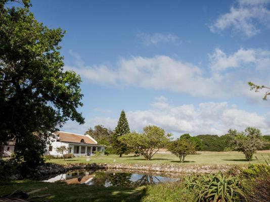 Springfontein Wine Estate - 201451
