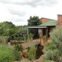 Midlands Forest Lodge - 202253