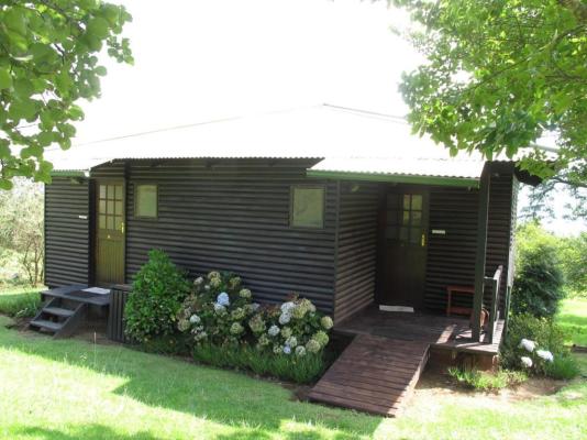 Midlands Forest Lodge - 202256