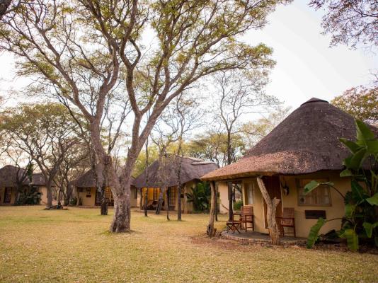 Mziki Safari Lodge - 202384