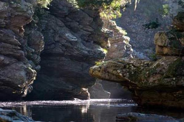 Forest Edge Holiday Cottages