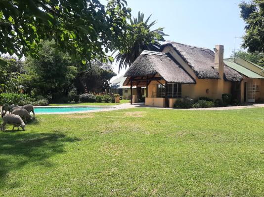 Lanseria Lodge - 202872