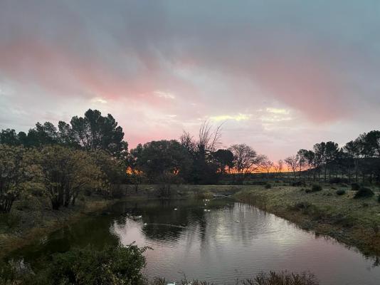 Rietpoort Guesthouse and Guestfarm - 203202