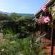 African Sun Guest House - 203868