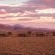 Wolwedans Desert Lodge - 203909 Wolwedans Desert Lodge - 203909