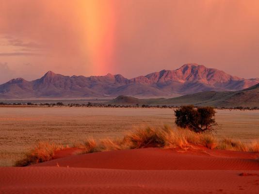 Wolwedans Plains Camp - 204094