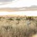 The White House Guest Farm - Namibia - 204284