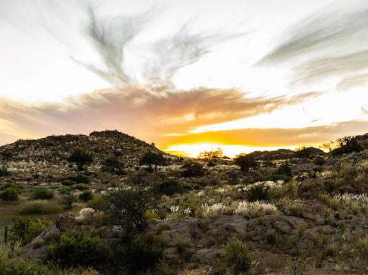 The White House Guest Farm - Namibia - 204285