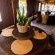 Kleinplasie Lodge - 204448 Kleinplasie Lodge - 204448