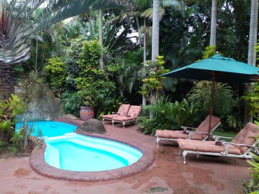 African Ambience Guest House - 204628