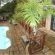 African Dreamz Guest House - 204656