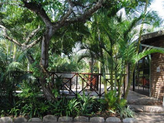 African Dreamz Guest House - 204660