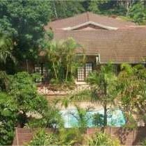 African Dreamz Guest House - 204662