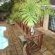 African Dreamz Guest House - 204668