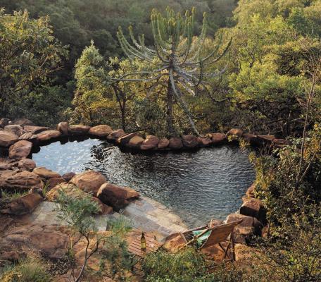 Makweti Safari Lodge - 205043