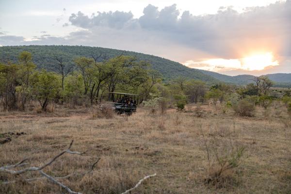 Makweti Safari Lodge - 205048