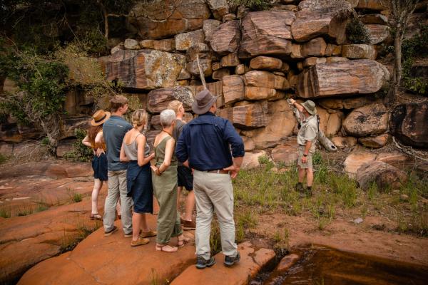 Makweti Safari Lodge - 205050