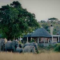 Nambiti Plains Game Lodge - 205300