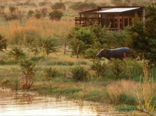 Cheetah Ridge Lodge - 205353