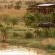 Cheetah Ridge Lodge - 205353 Cheetah Ridge Lodge - 205353