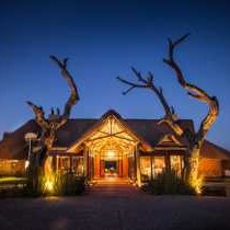 Nambiti Hills Private Game Lodge - 205401