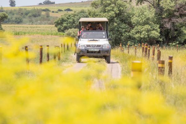 LIONSROCK Big Cat Sanctuary - 205574