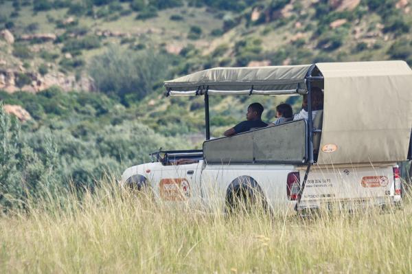 LIONSROCK Big Cat Sanctuary - 205577