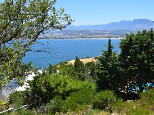 Artists Cottages Gordon's Bay - 205597