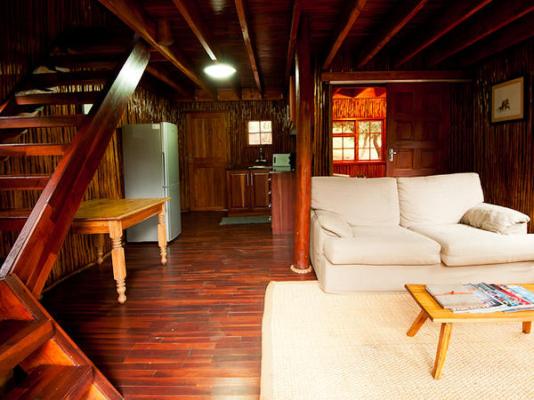 Amafu Forest Lodge - 206165