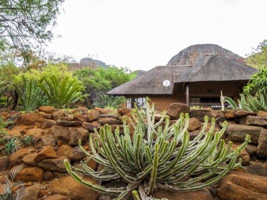 Amafu Forest Lodge - 206173