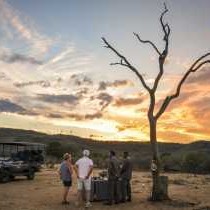 Madikwe Safari Lodge - 206450