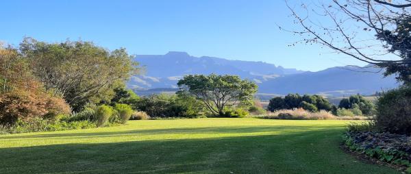 Ama Casa Cottages - 207149