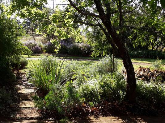 Ama Casa Cottages - 207159