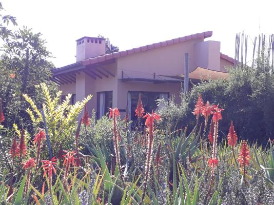 Ama Casa Cottages - 207172