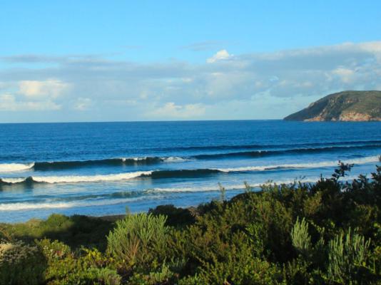 Southern Cross Beach House - 207255