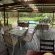 Gooderson Bushlands Game Lodge - 208264